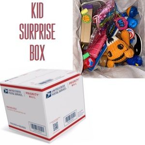 Fun Kid Surprise Box • Bundle of Assorted Items stuffed animal stickers trinkets